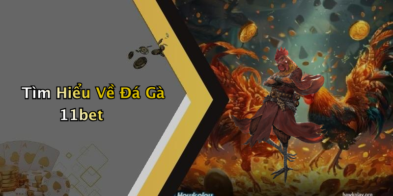Tìm Hiểu Về Đá Gà 11bet