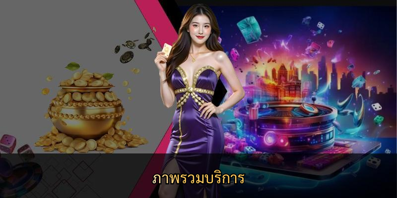 ภาพรวมบริการ