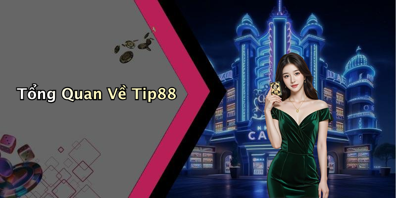 Tổng Quan Về Tip88