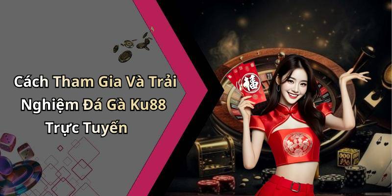Cách Tham Gia Và Trải Nghiệm Đá Gà Ku88 Trực Tuyến